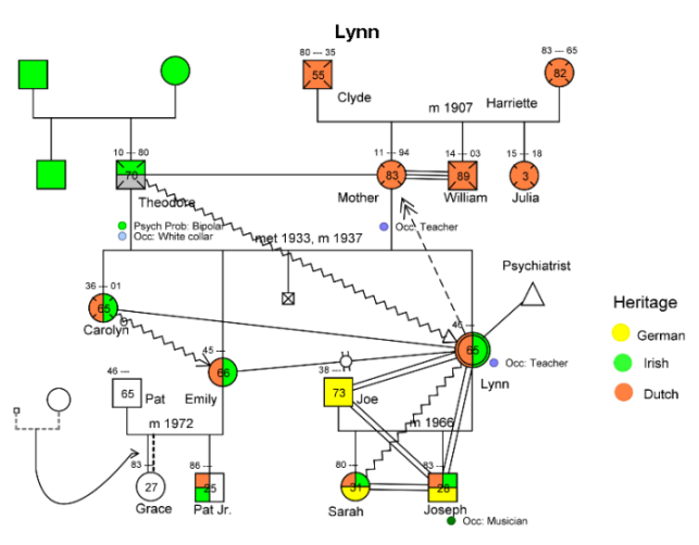 Sample Genogram for Lynn